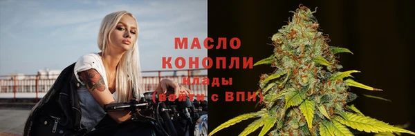 твердый Бородино