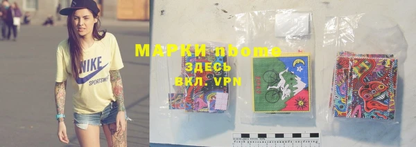 твердый Бородино