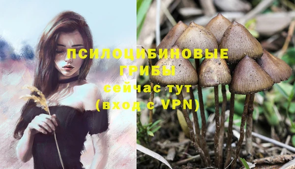 кокс Бронницы