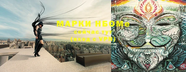 твердый Бородино