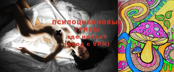 твердый Бородино