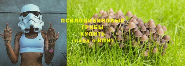 твердый Бородино