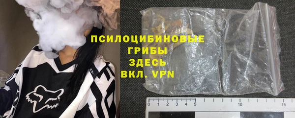 твердый Бородино