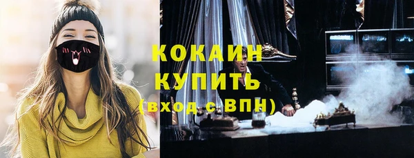 твердый Бородино