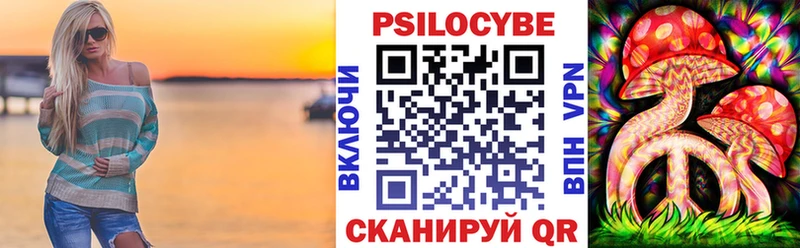 Купить где  Балтийск  Галлюциногенные грибы Psilocybine cubensis 
